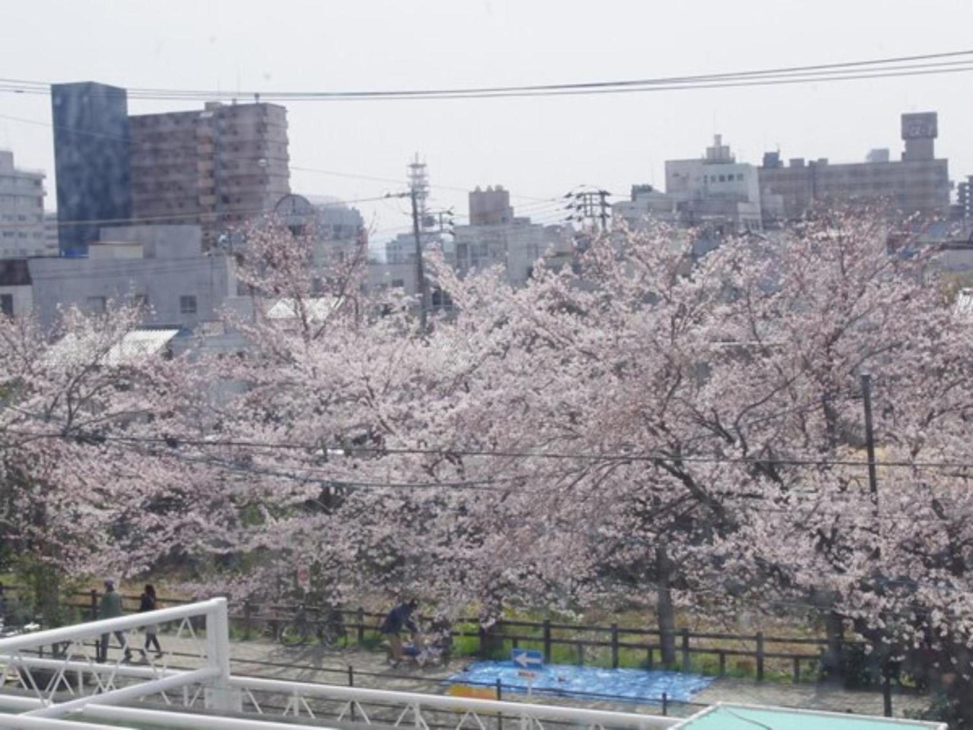 Tottori City Hotel / Vacation Stay 81358 エクステリア 写真